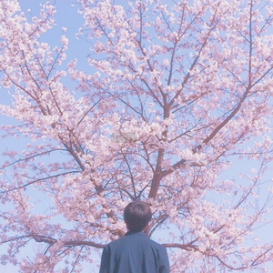 中国老头最刺激最刺激的老年美女黄色网
