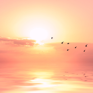 中国老头最刺激最刺激的老年美女黄色网
